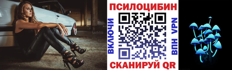 где продают наркотики  Балтийск  Псилоцибиновые грибы GOLDEN TEACHER 